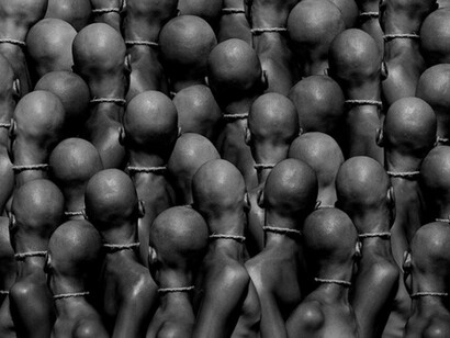 "¡Oh, qué maravilla! Cuántas criaturas bellas hay aquí", Shakespeare. Fotografía de Misha Gordin