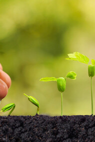 Hay mucha gente que anhela servir y entregar lo mejor de sí misma