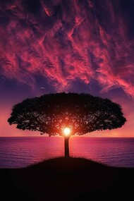 A tree within a narrow enclosure that restricts its growth