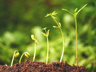 El bien común se «traduce» en lograr que, como sociedad, se generen las condiciones materiales de dignidad, bienestar básico mínimo