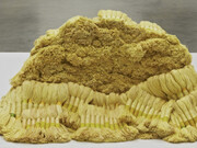 ICA Collection. Courtesy of ICA Boston