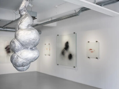 Paula Tove Alderin, Shed – Horizons of rawness, exhibition view. Courtesy of Galleri Duerr