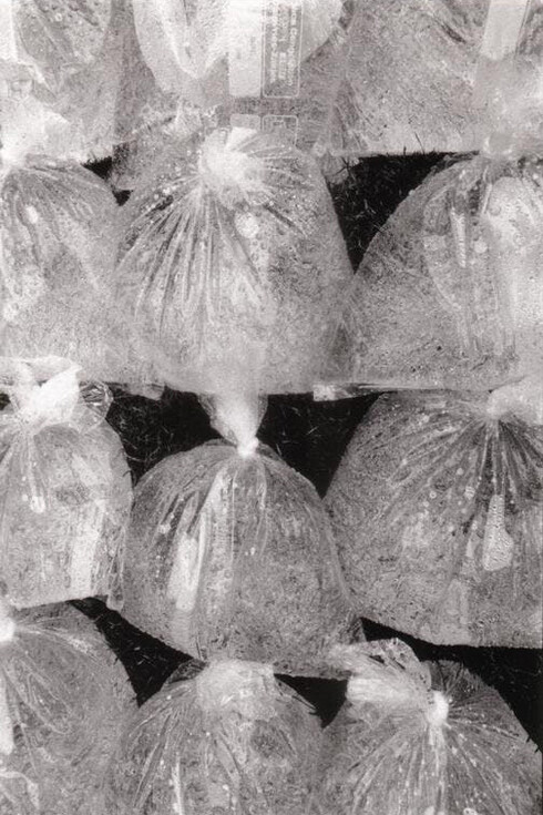 Hugo Roelandt & de jaren ’80. Courtesy of M HKA