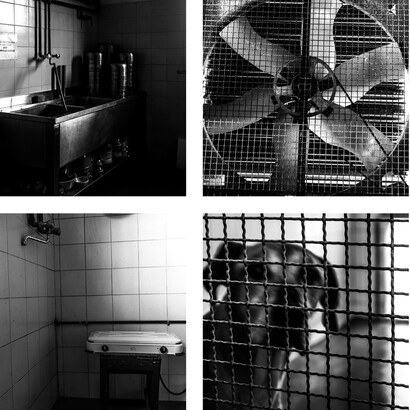 The Care, Quadro generale 3