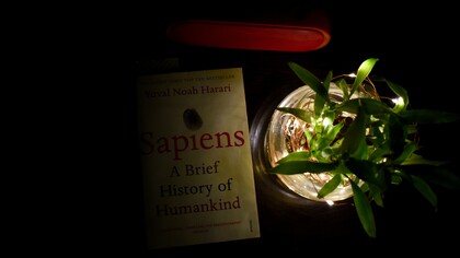 «Sapiens»: el libro de Harari
