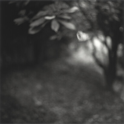 Kirk Palmer, From the series Precious Fragments, 2014, b/w selenium toned silver gelatin hand print © Kirk Palmer