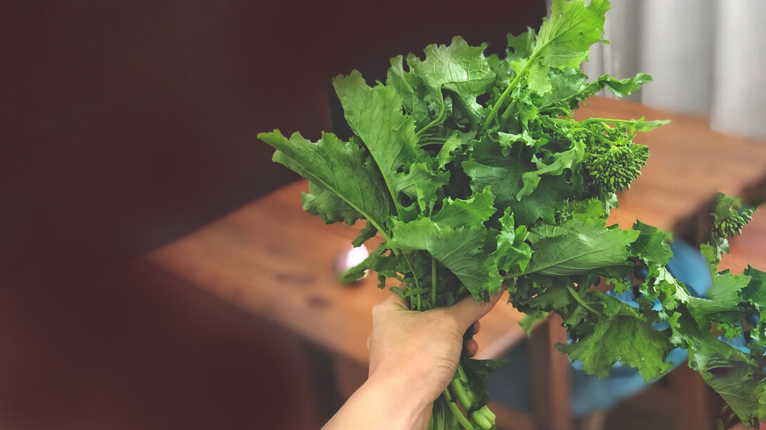 Cime di rapa. Scopri le differenze principali tra broccoli, broccoletti, friarielli e cime di rapa, dalle proprietà nutrizionali alla provenienza e utilizzo in cucina