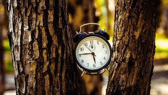 Reloj análogo entre las ramas de un árbol