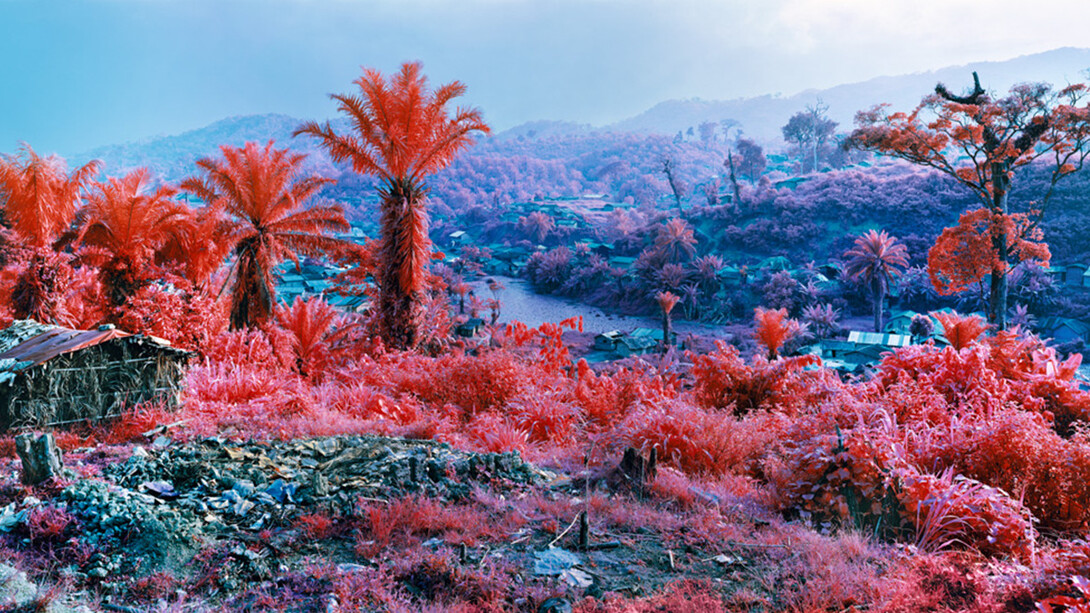 Hombo, Walikale, eastern Democratic Republic of Congo, 2012 © Richard Mosse - Courtesy of the artist and Jack Shainman Gallery, New York