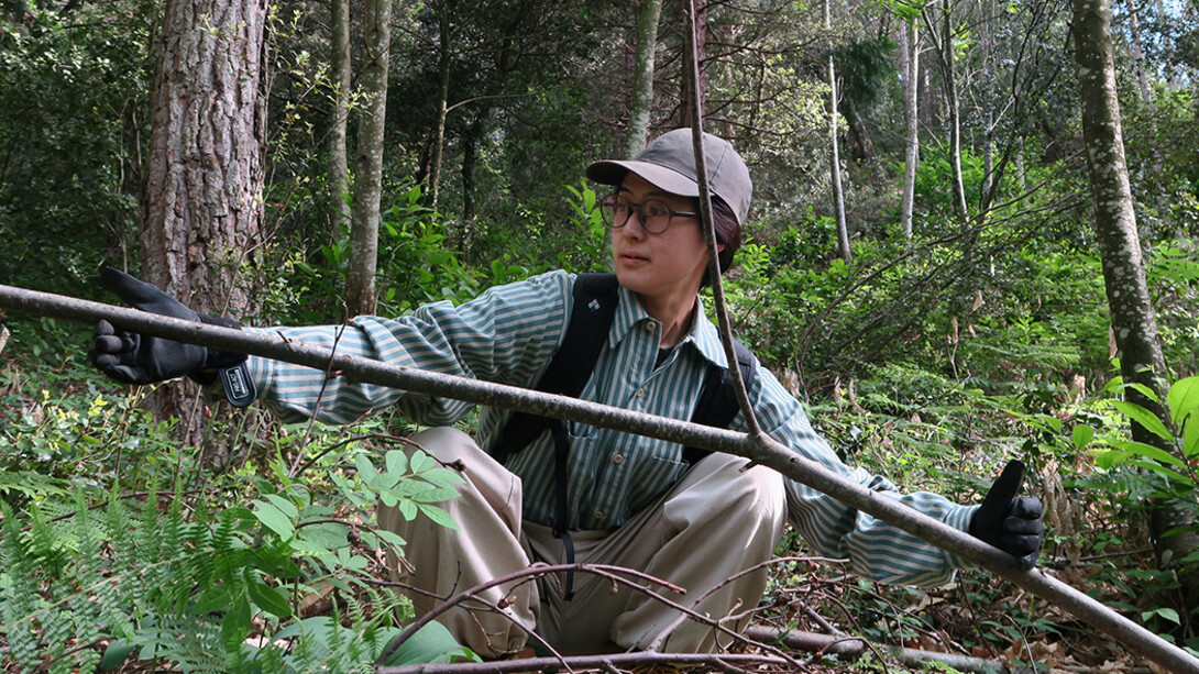 Aki Hoshihara. Courtesy of Galeria Carles Taché