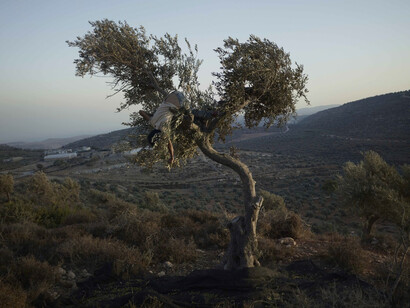 Luc Delahaye. Courtesy of Galerie Nathalie Obadia
