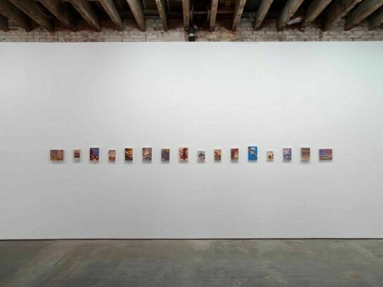 Luis Molina-Pantin, installation view of Non-Fiction Reviews, 2006-2010, sixteen books in acrylic boxes, dimensions variable, Images courtesy the artist and Henrique Faria Gallery, New York