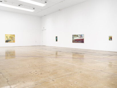 Shiwen Wang, The river returns nothing of what it takes, exhibition view. Courtesy of Michael Kohn Gallery