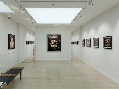 Of Gardens Long Run Wild. Courtesy of John Martin Gallery 