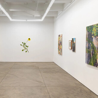 Carly Glovinski, Into the garden, exhibition view. Courtesy of Morgan Lehman Gallery
