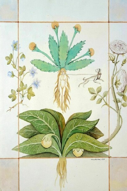 Mariella Busi, Watercolour