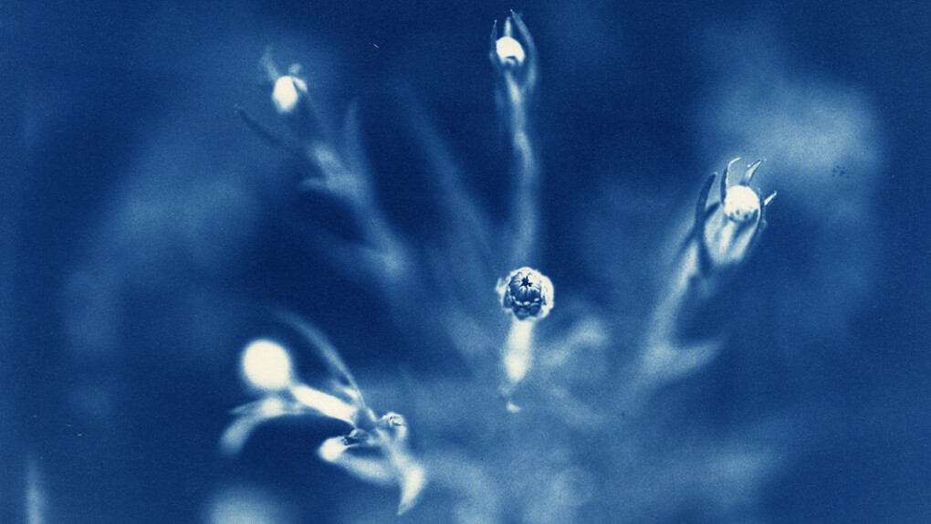 Be-hold Exhibition of Color Photographs. Courtesy of Be-hold