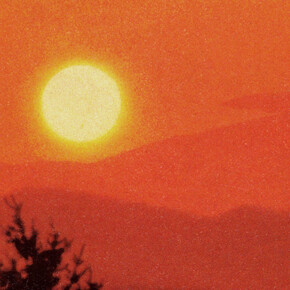 Michael John Whelan, Only In (detail), 2015, Courtesy of the artist and Grey Noise, Dubai