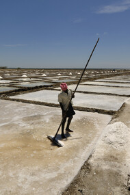 La vida de un trabajador de salinas es dura, con un salario diario de pocos cientos de rupias. Últimamente, la industria enfrenta problemas, muchos trabajadores prefieren trabajar en la construcción en lugar de trabajar en condiciones de alta salinidad durante un número considerable de horas diarias, es la conclusión de el propio análisis del mercado. Marakkanam, en Tamil Nadu, India