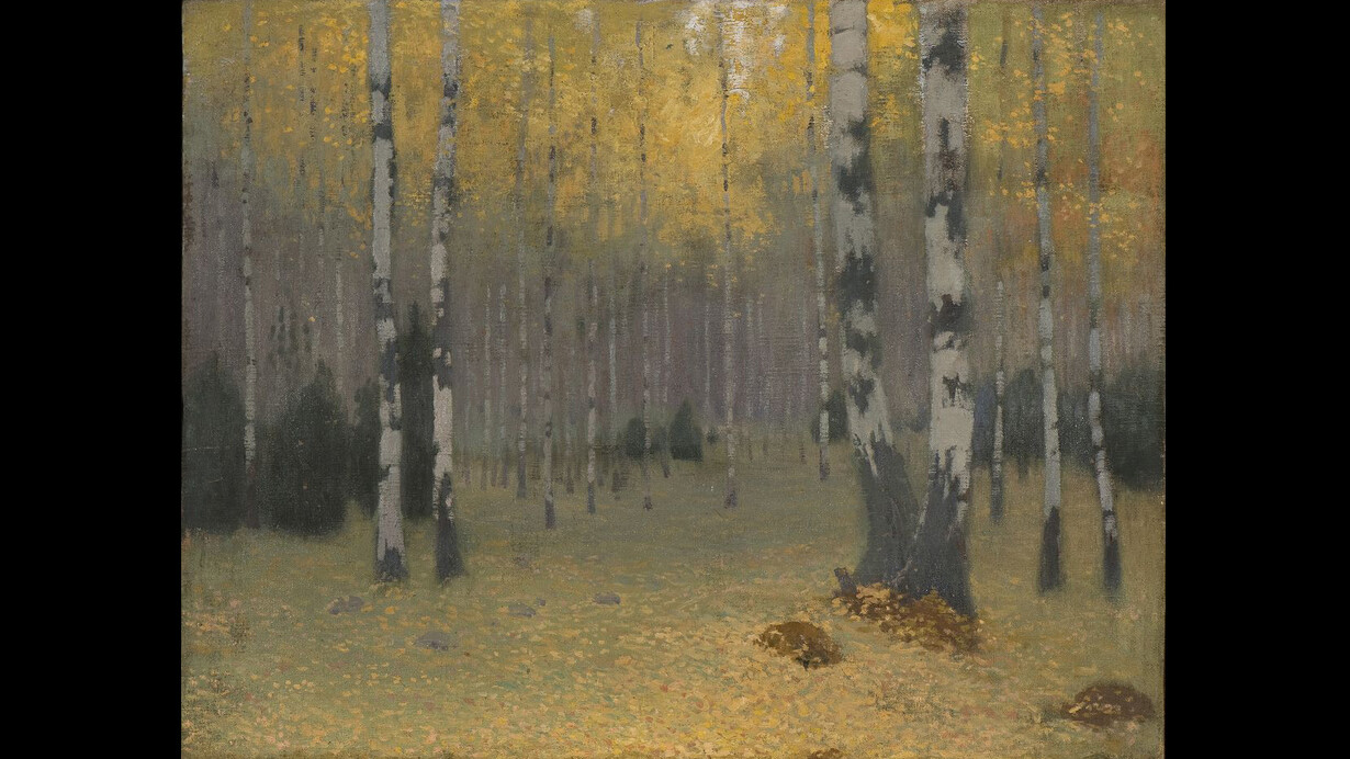 Johann Walter, Foresta di betulle © Photo Normunds Brasliņš