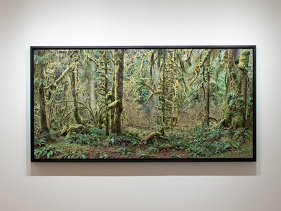 Edward Burtynsky, Natural commodities, exhibition view. Courtesy of Howard Greenberg Gallery