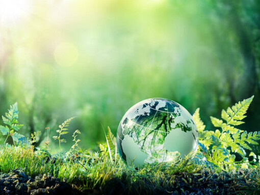 Sustainability Credits are a new regulatory asset to be established by legislation or regulation