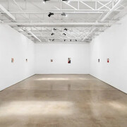 Jesse Zuo, Photosynthesis, exhibition view. Courtesy of Piero Atchugarry Gallery