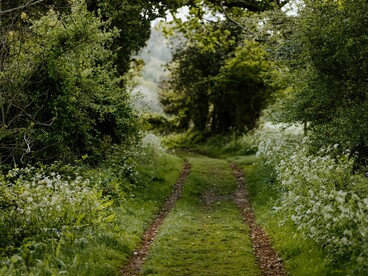 Che si viva in città o immersi nel verde, il cambiamento comincia sempre dalle scelte e dall'atteggiamento di ciascuno di noi