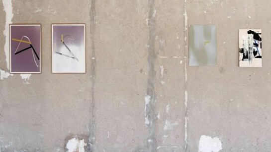 The Prairies, 2012, Rennes Biennial, New Way Mabilais, photo A. Mole