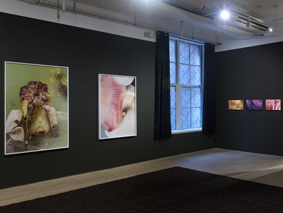 Various artists, Theater of energies, exhibition view. Courtesy of Arsenal Contemporary Art
