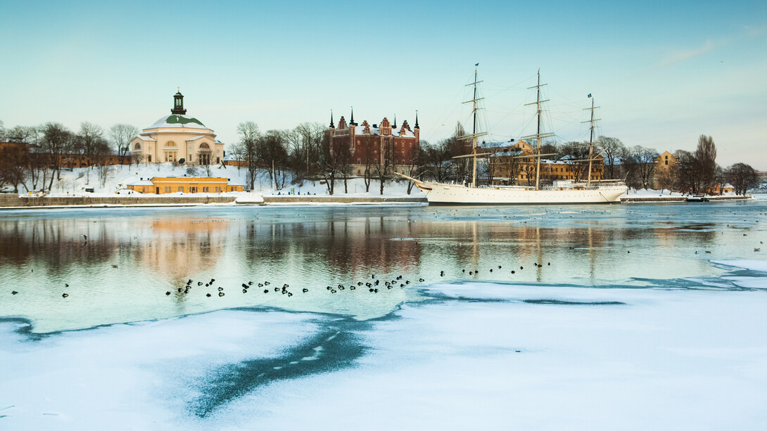 Hannes Runelöf, Winter, Stockholm Ström, 2010