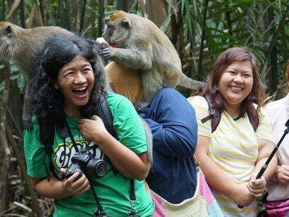 Pulau Kembang, l'isola dei fiori abitata da dispettosi macachi