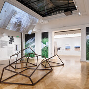 Glasshouse fantasy. Freundinnenderkunst, exhibition view. Courtesy of Francisco Carolinum Linz