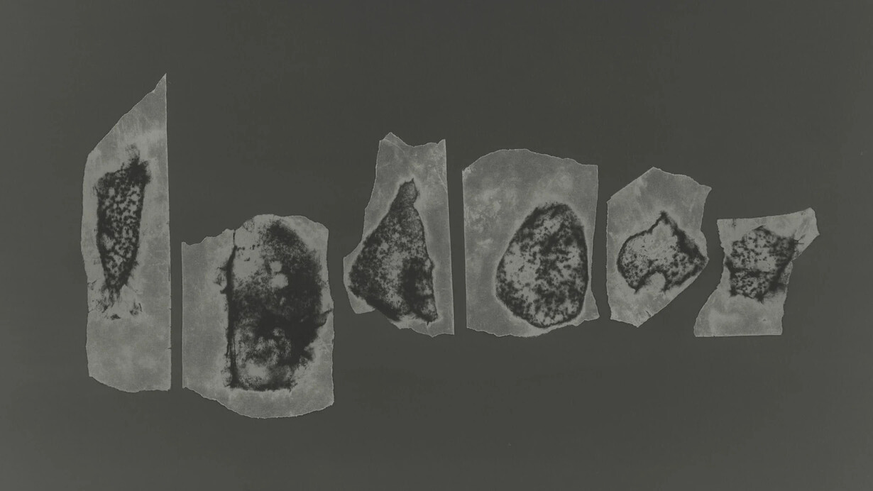Houda Kabbaj, Transfers /Transferts - #4, 2024. Avec l’aimable autorisation de la Galerie MCC