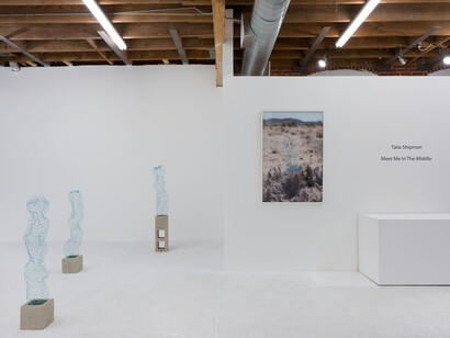 Talia Shipman. Courtesy of Chimento Contemporary