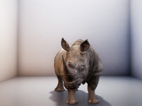 Nature. Courtesy of Cooper Hewitt