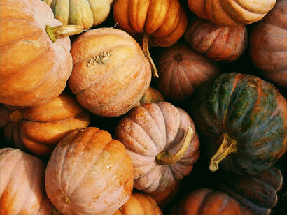 La Festa della zucca