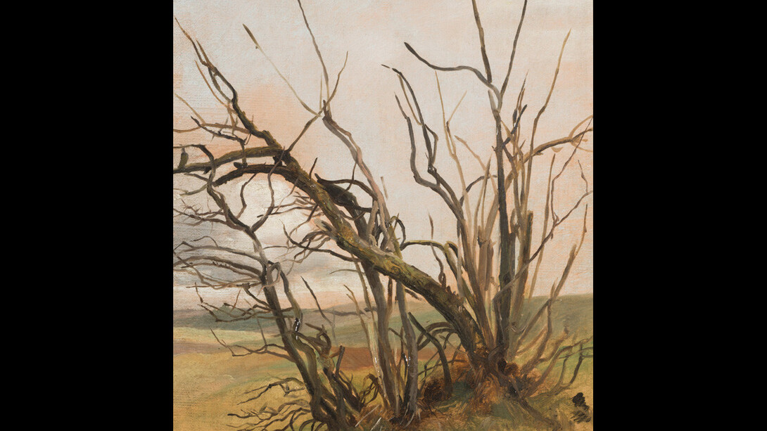 Fragment Natur. Courtesy of Galerie Knoell