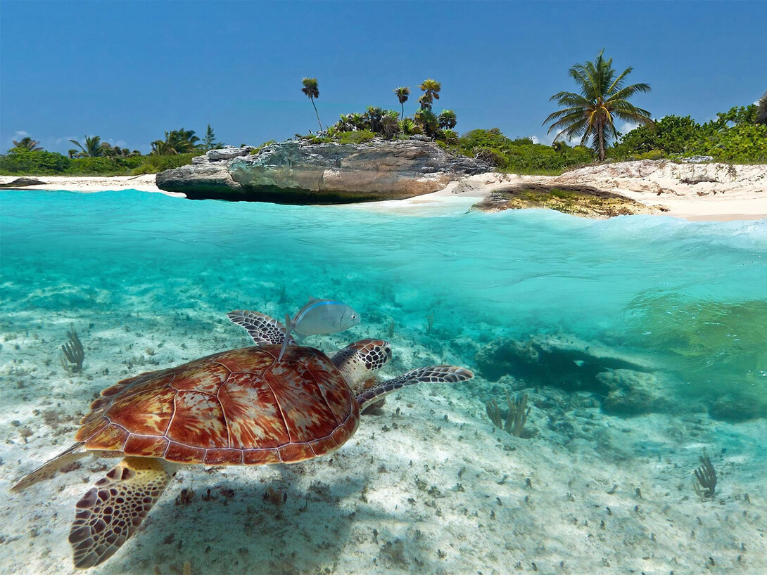 Playa del Carmen y sus colores | Meer