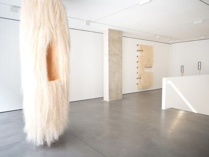 Kapwani Kiwanga, installation view. Courtesy of Goodman Gallery