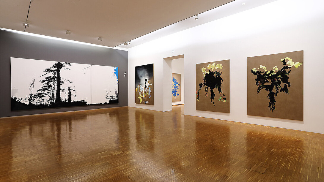 Markus Huemer, A football pitch must be free from trees, exhibition view. Courtesy of Neue Galerie Graz