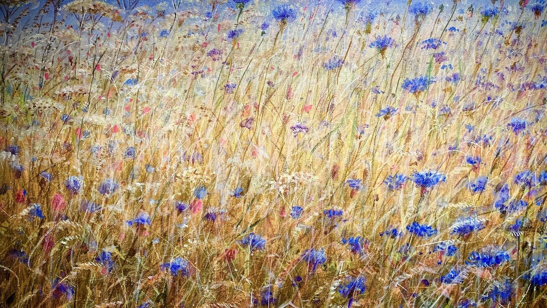 Cornflowers II, acrylic on canvas, 21 x 14. Courtesy of Osborne studio gallery