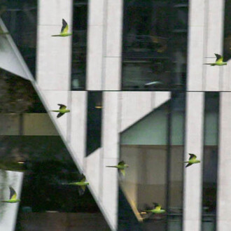 Cyprien Gaillard. Roots Canal. Courtesy of Museum Tinguely