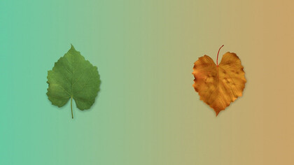 With the passage of time, seasons change, transforming the world with their ever-shifting beauty