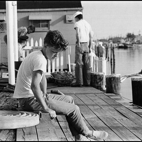 Best Seat in the House. Courtesy of NOMA