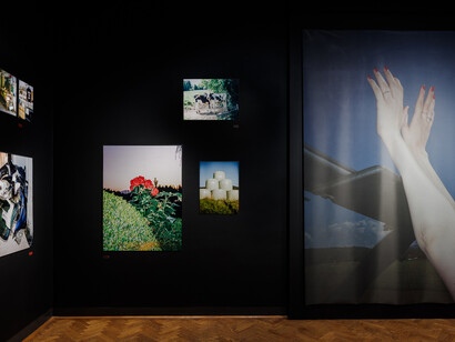 Sophie Mercedes Köchert, Salzkammergut selected II, ausstellungsansicht. Mit freundlicher genehmigung von Francisco Carolinum Linz