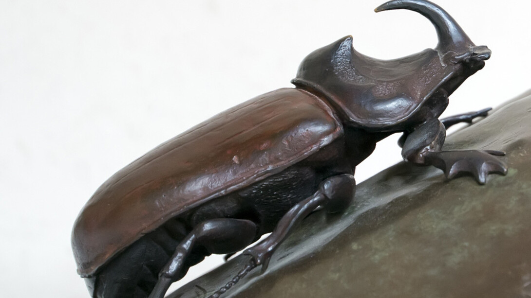 Invertebrados De Andalucía. Courtesy of Casa de la Ciencia