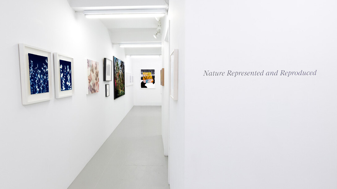 Various artists, Nature represented and reproduced, exhibition view. Courtesy of CLAMP