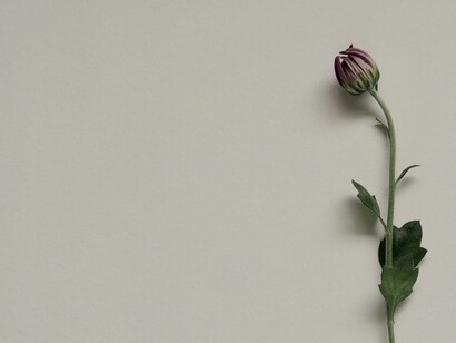 Pero pese a la recurrencia y gravedad del feminicidio en la sociedad mexicana, este no comenzó a ser sistematizado hasta 2015