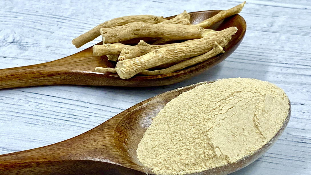 A Ashwagandha é uma erva adaptogênica venerada por seus múltiplos benefícios, incluindo redução do estresse, proteção neurológica, ação anti-inflamatória e efeitos antienvelhecimento. Além disso, a planta oferece suporte à saúde cardíaca e ao controle do colesterol, demonstrando um potencial significativo em tratamentos complementares para diversas condições
